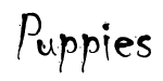 Puppies